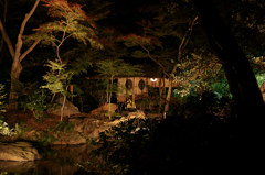 六義園 紅葉ライトアップ