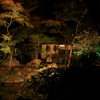 六義園 紅葉ライトアップ