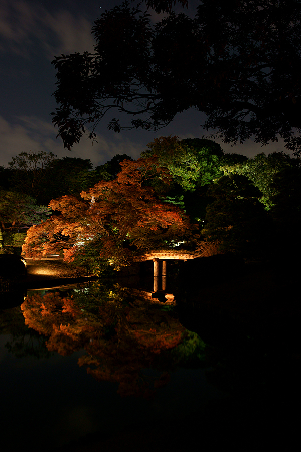 六義園 紅葉ライトアップ