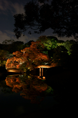 六義園 紅葉ライトアップ