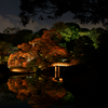 六義園 紅葉ライトアップ