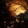 六義園 紅葉ライトアップ