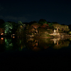 六義園 紅葉ライトアップ