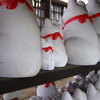 招き猫の集まる場所