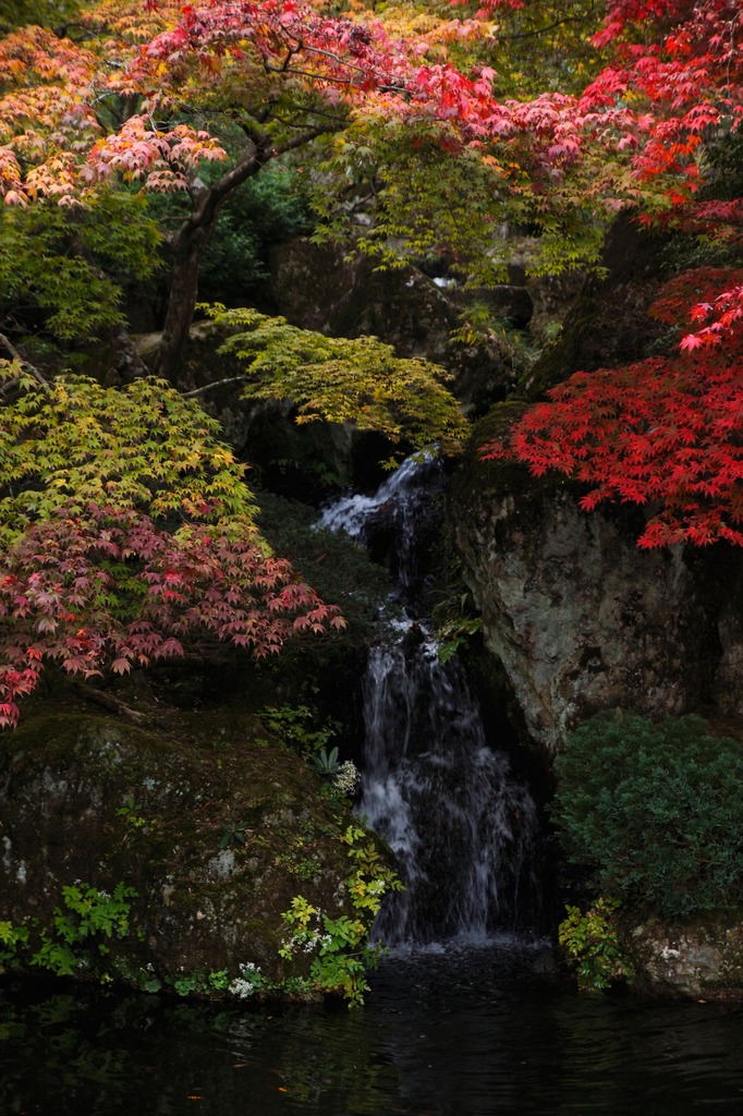 苔庭にある小さな滝