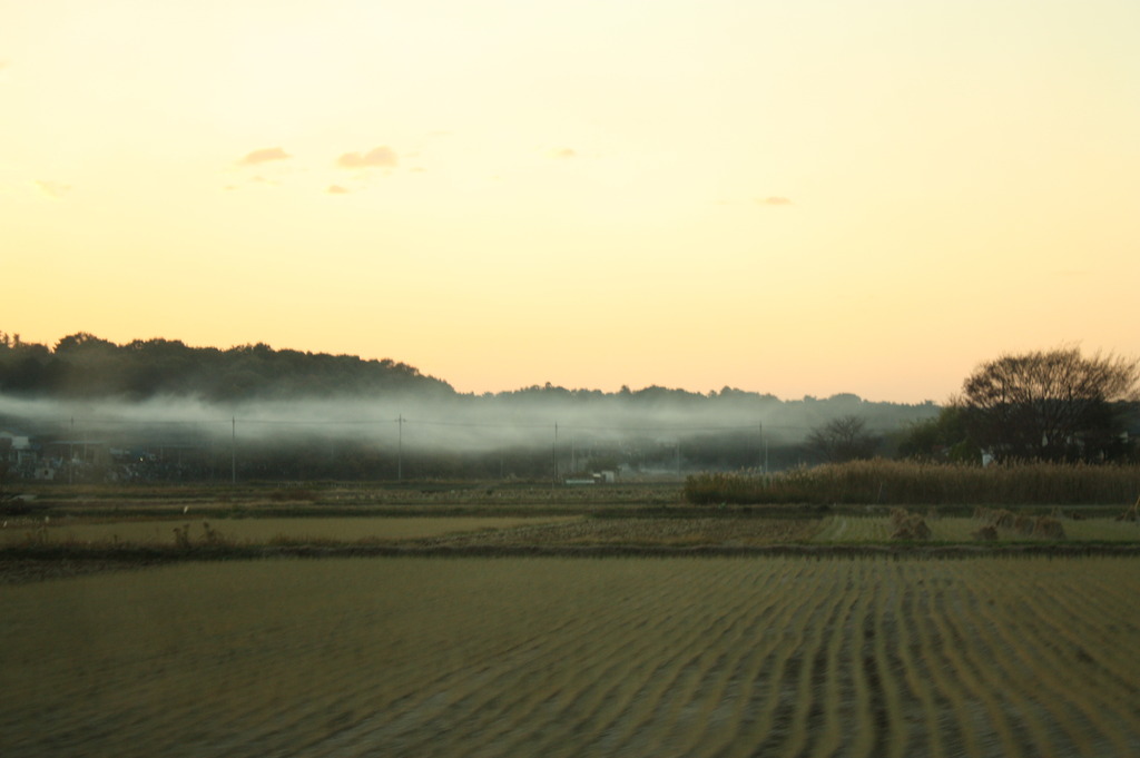 田舎なんです