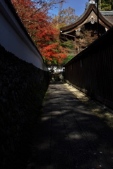 京都亀岡鍬山神社（くわやまじんじゃ）の紅葉