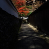 京都亀岡鍬山神社（くわやまじんじゃ）の紅葉