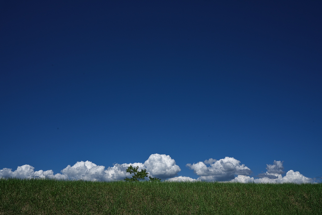 溜池土手上の夏雲