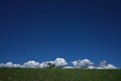 溜池土手上の夏雲