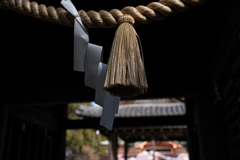 大晦日の住吉神社（注連縄）