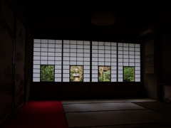 東山の奥座敷（雲龍院)