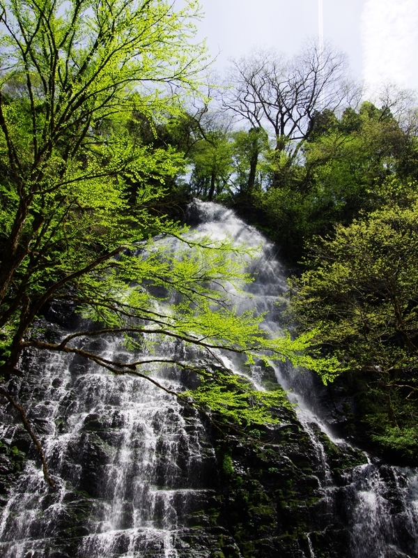 新緑の候３（龍双ケ滝２）