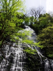 新緑の候３（龍双ケ滝２）