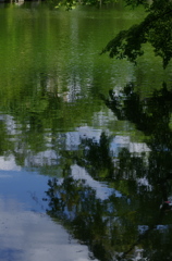 相楽園（そうらくえん）日本庭園の池面