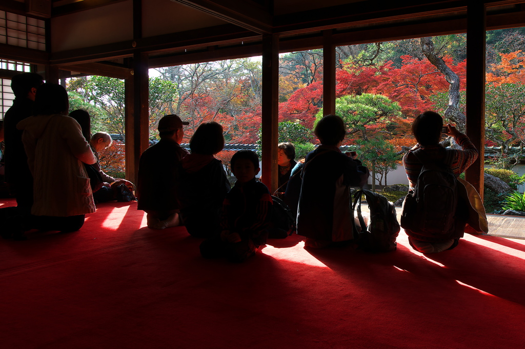 奈良は紅葉巡り４（正暦寺）