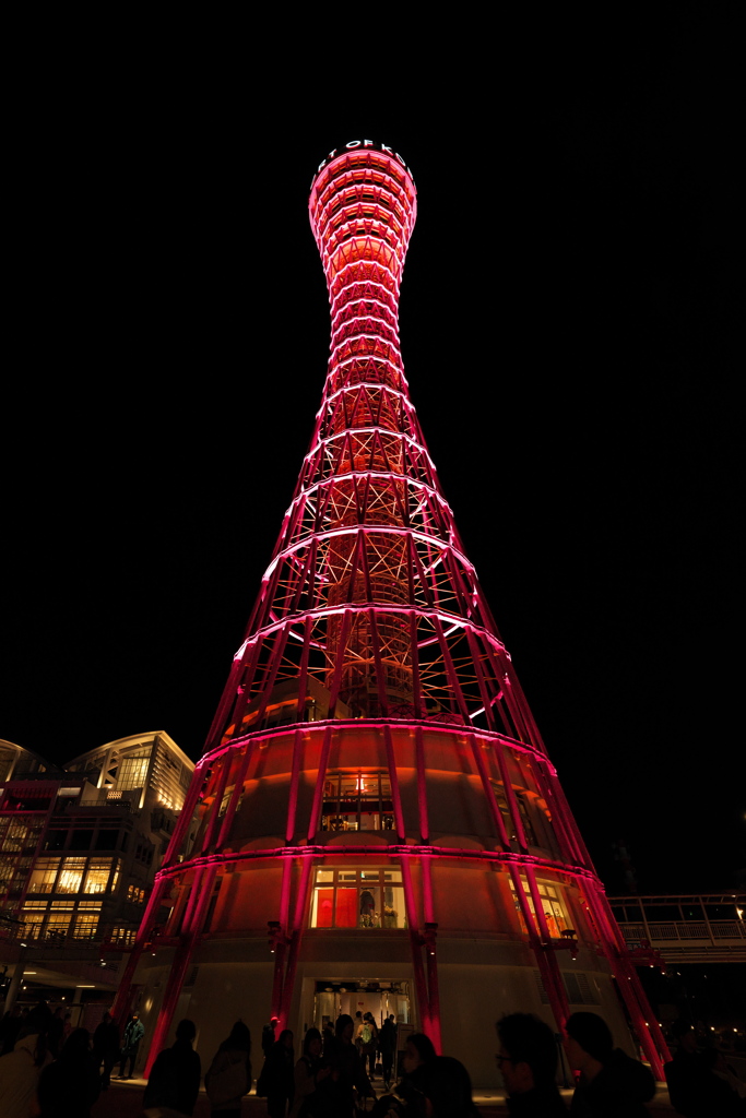 メリケンパークにて８（ポートタワー夜景）