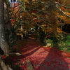 京都南丹龍隠寺（りょうおんじ）の紅葉１