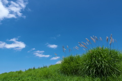 溜池土手上の夏の空