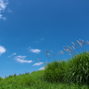 溜池土手上の夏の空