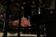 丹波古刹の紅葉６高山寺（こうさんじ）