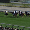 京都競馬場にて４（芝レース）