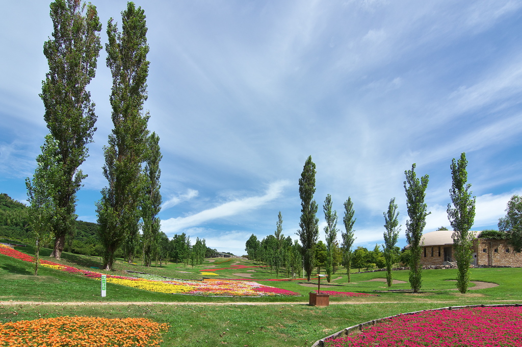 国営明石海峡公園２（ポプラの丘）