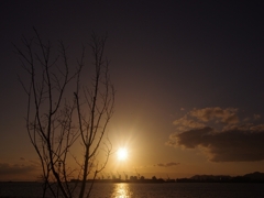 みなと神戸の夕景１