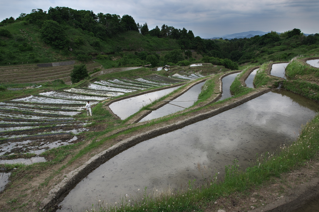 下赤阪の棚田１