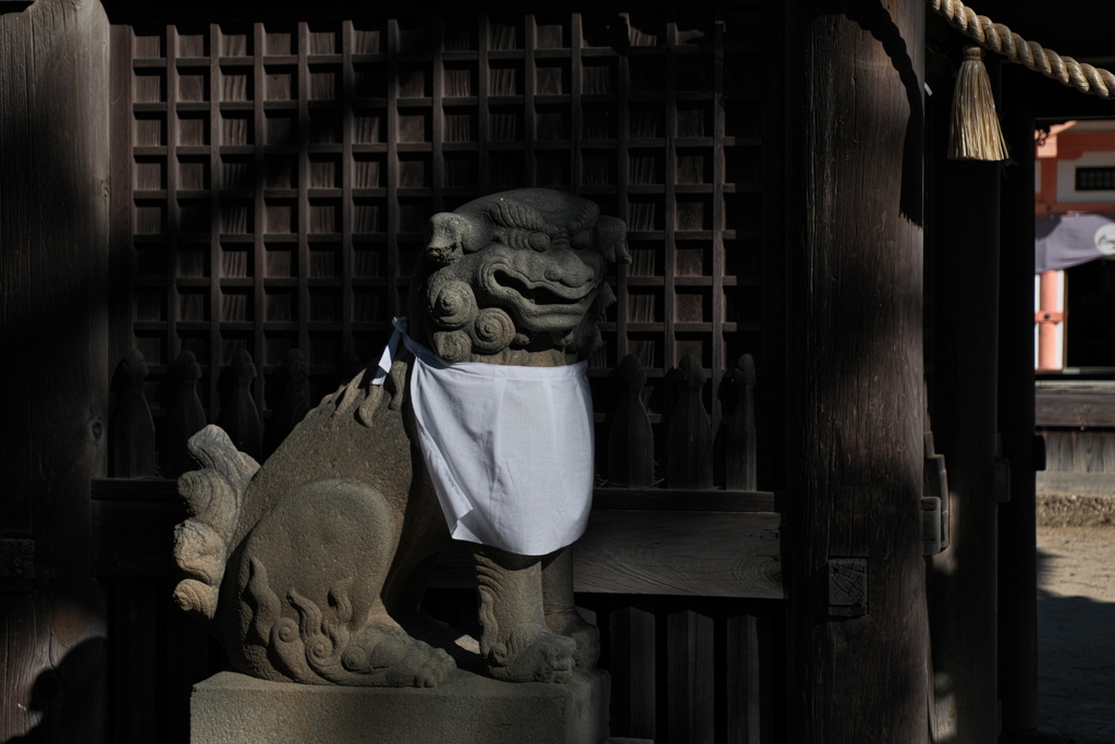 住吉神社の狛犬１