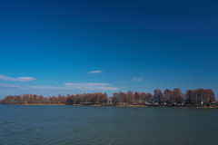 仲冬の天満大池公園にて１