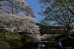 和らぎの道のふれあい橋２