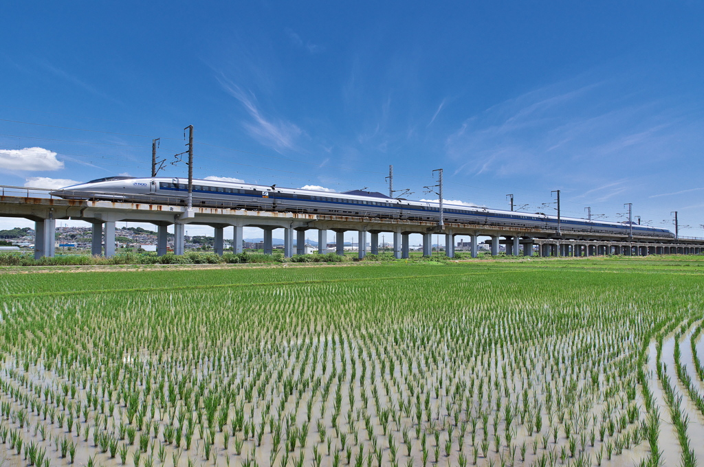 青空と田圃と５００系