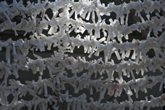 住吉神社の御籤掛１