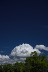 盛夏の夏雲２