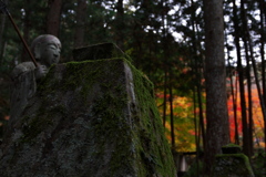 兵庫篠山洞光寺（とうこうじ）の紅葉