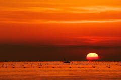 魚住住吉神社沖に沈む夕日