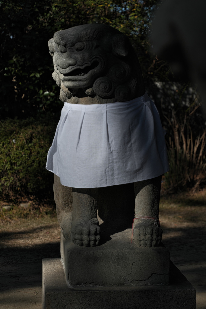 住吉神社の狛犬２