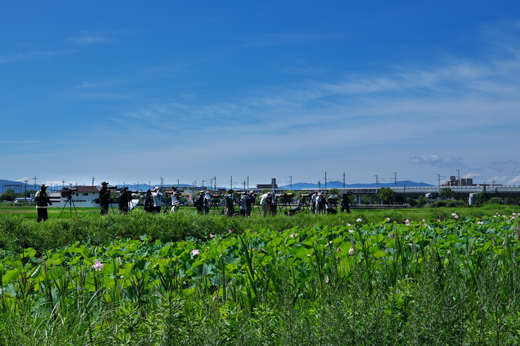 溜池土手のカメラマンたち