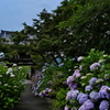 丹州華観音寺にて（仁王門）２