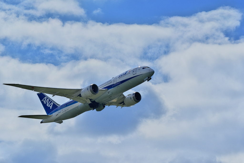 エアフロントオアシス下河原にて１（ＡＮＡ）