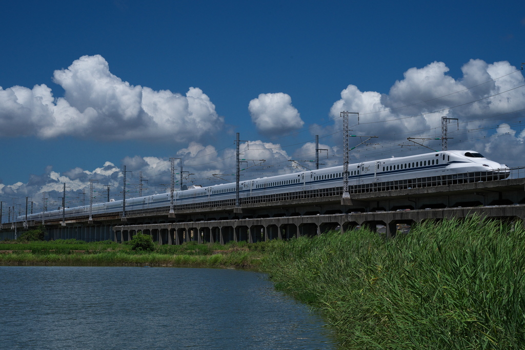 溜池を行く新幹線（Ｎ７００系）