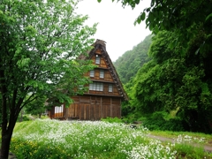 合掌造集落１（白川郷１）