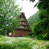 合掌造集落１（白川郷１）