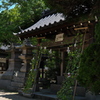 梅雨晴れの住吉神社（手水舎）