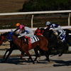 園田競馬場にて３