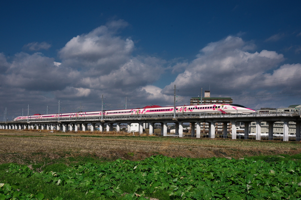 ５００系新幹線ハローキティ２