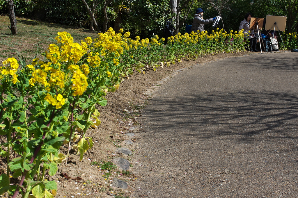 須磨離宮公園梅園にて１