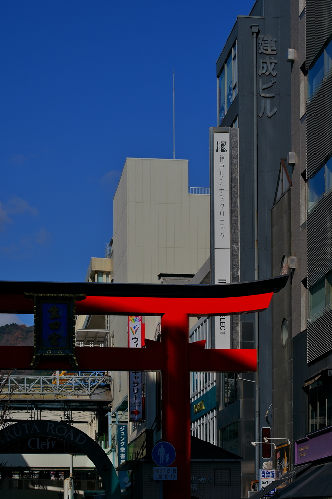 神戸元町スナップ（生田神社鳥居）