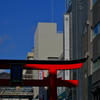 神戸元町スナップ（生田神社鳥居）